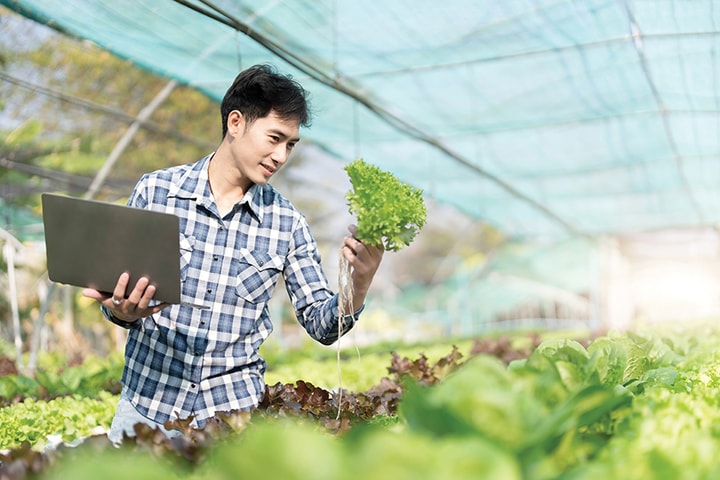Để trở thành hình mẫu về nông nghiệp hiện đại