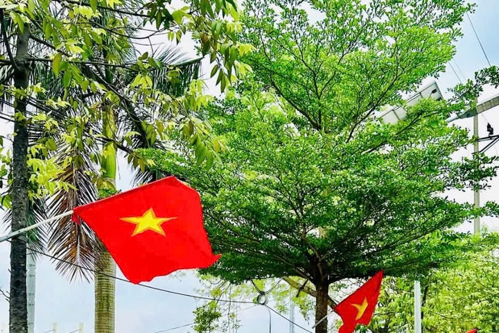Không khí hân hoan lan tỏa khắp vùng ngoại thành Hà Nội
