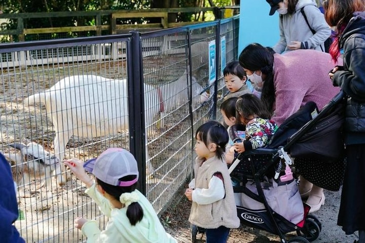 Dân số trẻ em Nhật Bản giảm liên tiếp 44 năm