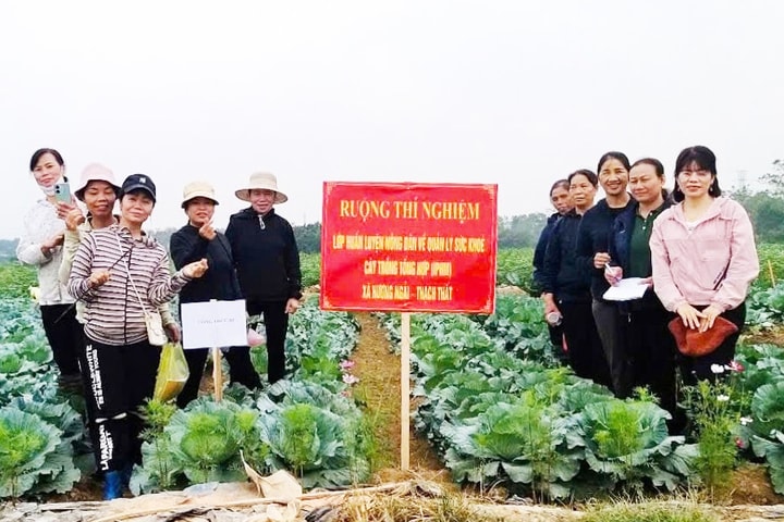 Chính sách bảo vệ môi trường trong nông nghiệp: Hướng tới mô hình xanh, an toàn, bền vững