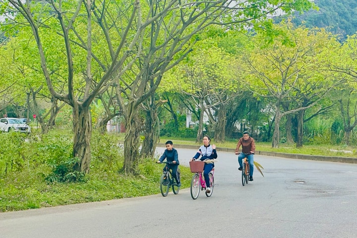 Xu hướng du lịch gia đình của khách Việt Nam