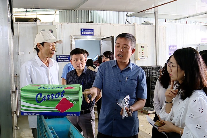 Xử lý vi phạm an toàn thực phẩm từ gốc
