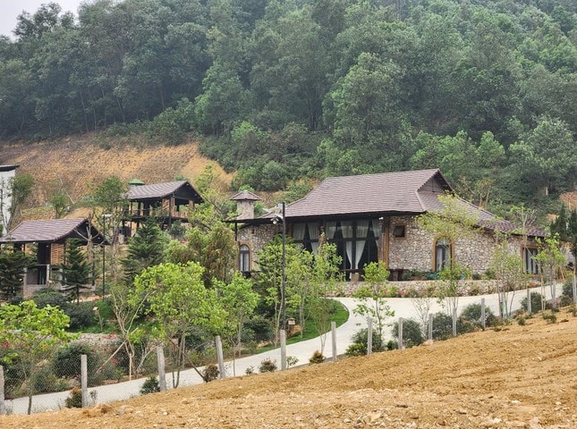 Thành phố Hà Nội chỉ đạo xử lý thông tin lấn chiếm đất đai ở Thạch Thất và Đông Anh