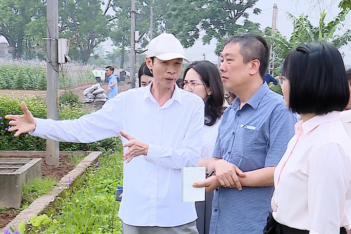 Kiểm tra về công tác quản lý an toàn thực phẩm: Tăng cường kiểm soát nguồn gốc từ sản xuất đến tiêu thụ