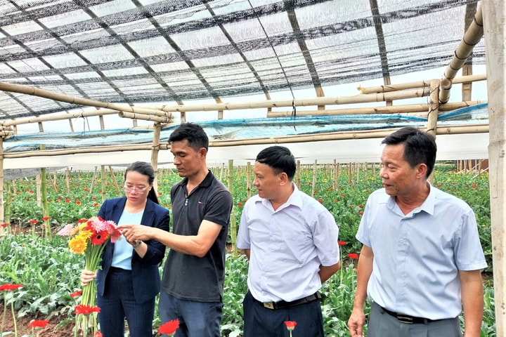 Phát huy vai trò chủ thể của nông dân trong xây dựng Nhà nước pháp quyền