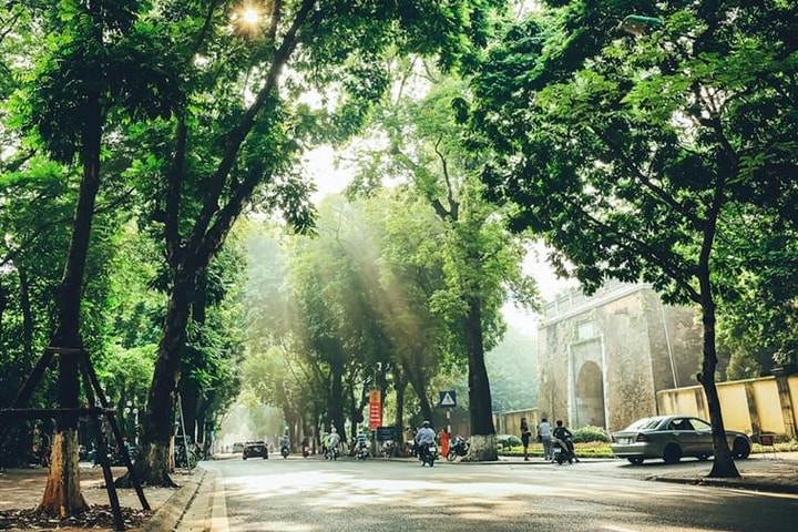 [Podcast tản văn] Chuyện quanh cây sấu trên phố