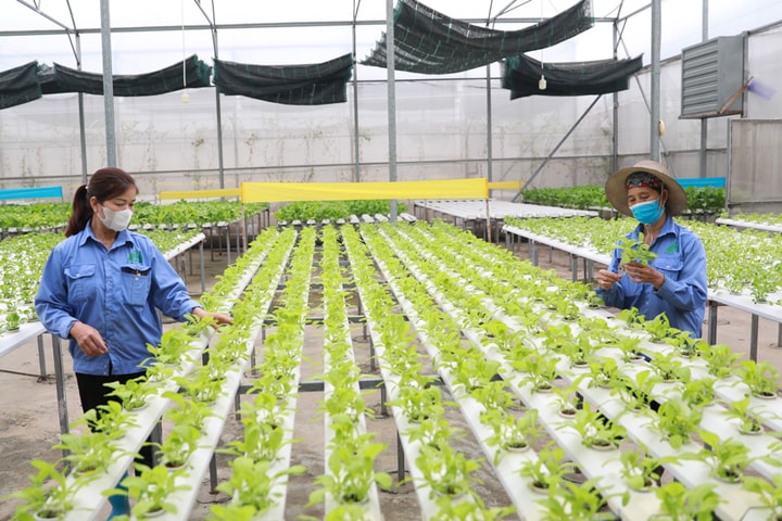 Số hóa thúc đẩy tăng trưởng nông nghiệp và môi trường