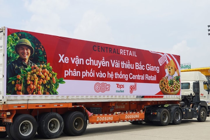 Khoảng 1.000 tấn vải thiều Bắc Giang sẽ được tiêu thụ qua siêu thị của Central Retail