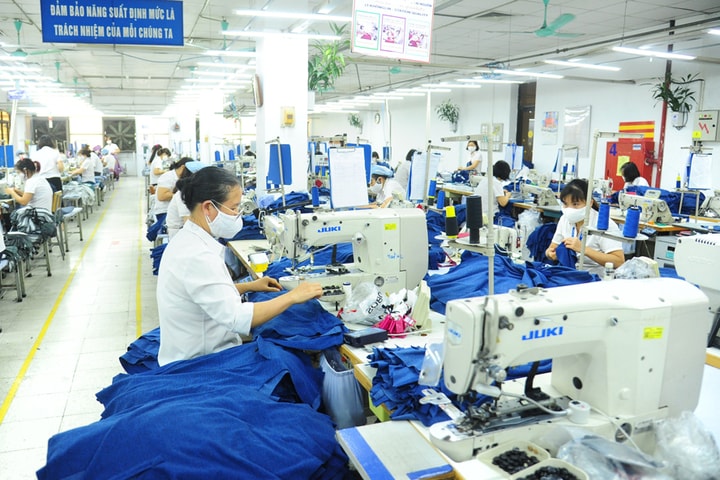Xuất khẩu bền vững với tiêu chuẩn thị trường cao