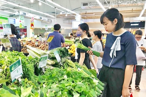 Hạn chế sản phẩm nhựa và túi ni lông: Cần hành lang pháp lý đủ mạnh