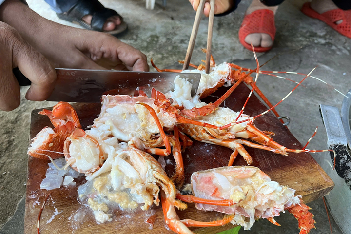 Phát hiện cơ sở kinh doanh bơm thạch rau câu vào tôm hùm bán ra thị trường