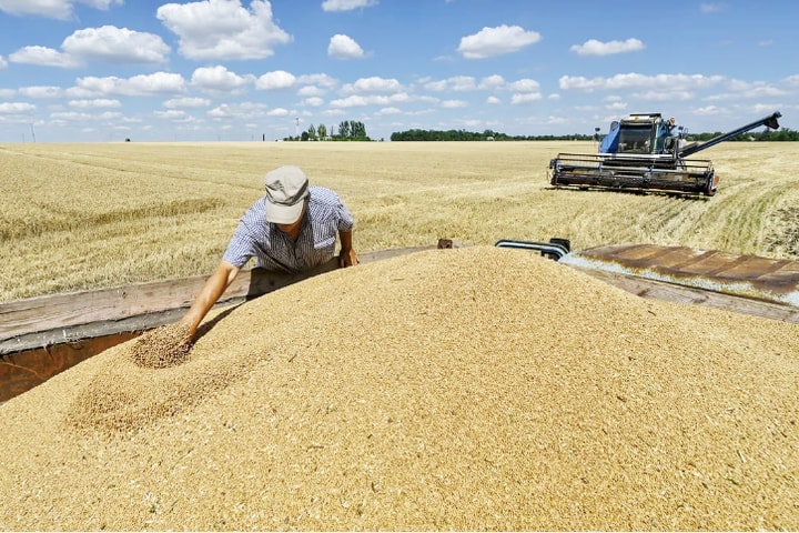 EU chấm dứt ưu đãi thuế: Thúc đẩy Ukraine mở rộng thị trường xuất khẩu