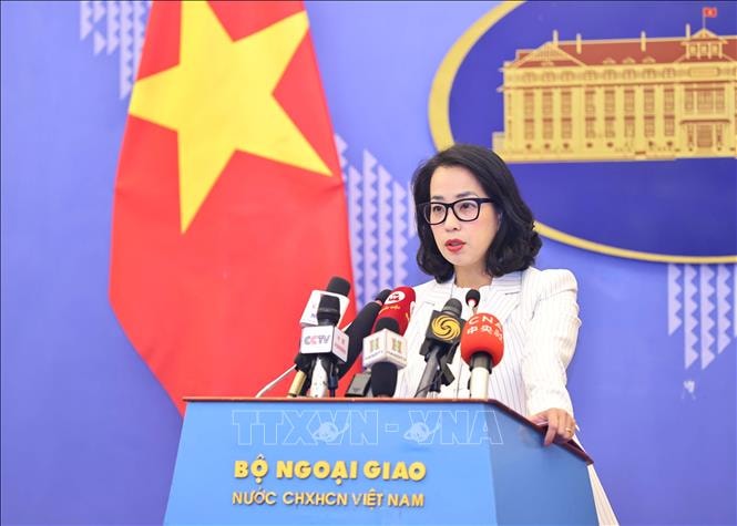 Việt Nam mong muốn nỗ lực đóng góp, nâng cao tiếng nói và vai trò của các nước đang phát triển