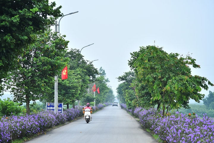 Vận hành thử nghiệm chính quyền hai cấp ở xã Ba Vì mới: Sẵn sàng vận hành chính thức