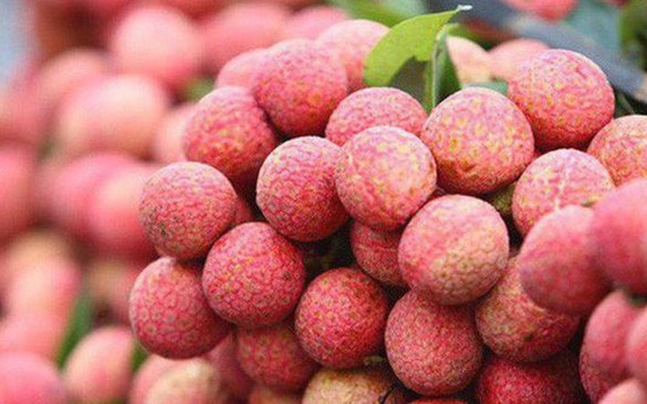 Gỡ khó cho nông sản xuất khẩu chính vụ
