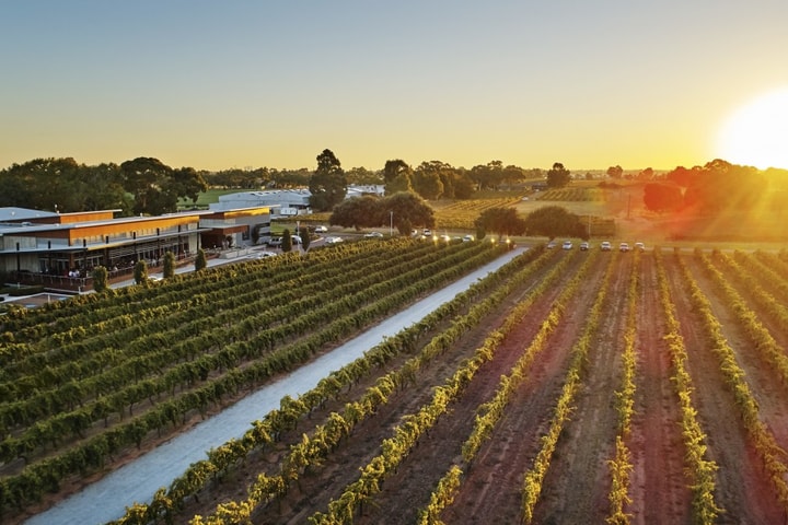 Thưởng thức rượu vang hảo hạng tại thung lũng Swan, Tây Australia