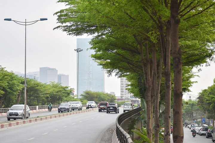 Bắc Bộ có mưa rào rải rác về chiều tối và đêm