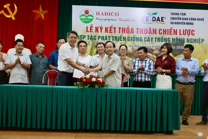 Hà Nội tăng cường hợp tác phát triển giống cây trồng