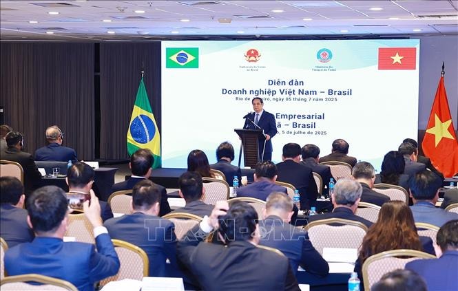 Thủ tướng Phạm Minh Chính dự Tọa đàm Doanh nghiệp Việt Nam - Brazil