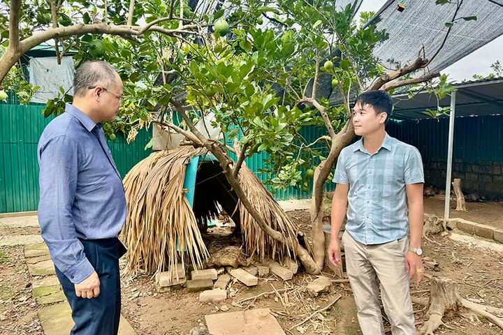Nuôi con đặc sản mở hướng chăn nuôi xanh ở Phượng Dực