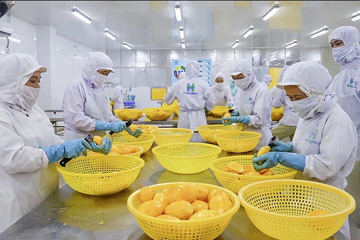 Xuất khẩu rau, quả năm 2025: Liệu có “cán đích” 8 tỷ USD?