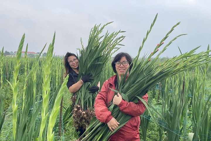 Thuận An triển khai hiệu quả nhiều mô hình sản xuất nông nghiệp
