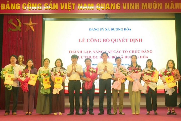 Xã Dương Hoà công bố quyết định thành lập, nâng cấp các tổ chức cơ sở Đảng