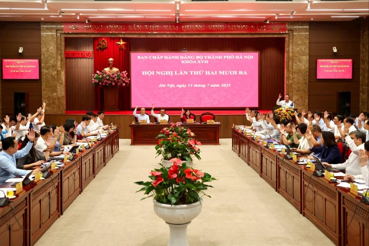 Thảo luận công tác nhân sự Đại hội Đảng bộ thành phố Hà Nội lần thứ XVIII