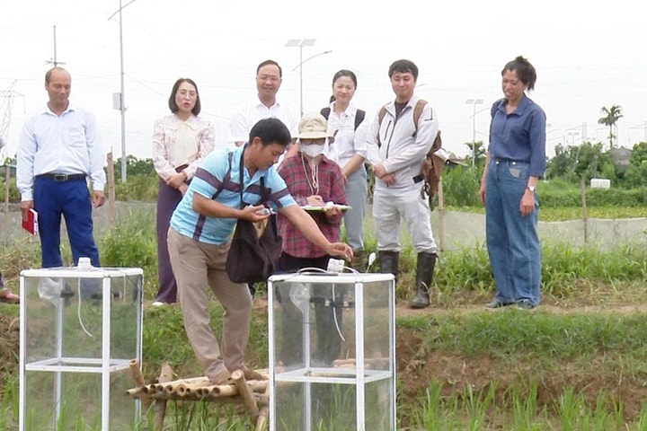 Ứng Hòa "chuyển mình" theo hướng nông nghiệp xanh, thông minh