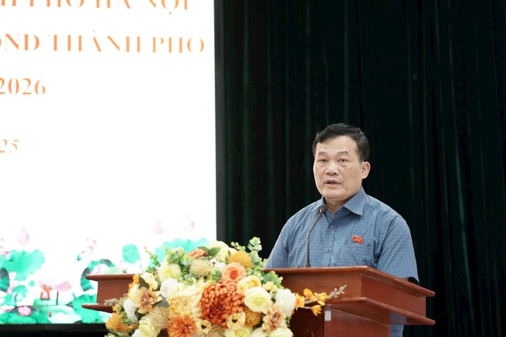 Cử tri đề nghị cấp kinh phí cho xã Thường Tín từ nguồn đấu giá quyền sử dụng đất