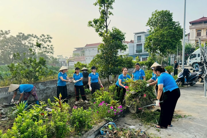 Phụ nữ 126 phường, xã ra quân "Ngày cuối tuần xanh"