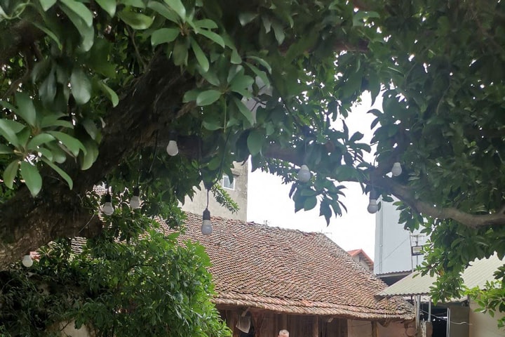 Nhà cổ làng Đường Lâm được khoác "áo giáp sắt" chống bão