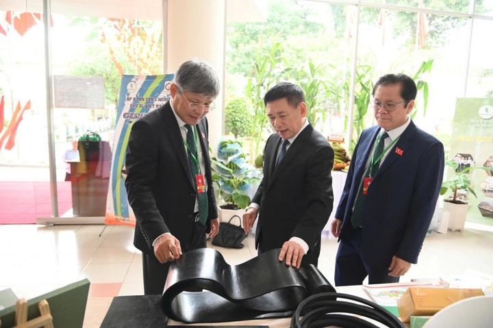 Phó Thủ tướng Hồ Đức Phớc: Tập đoàn Công nghiệp Cao su Việt Nam sẽ luôn đổi mới, đóng góp tích cực vào phát triển kinh tế đất nước