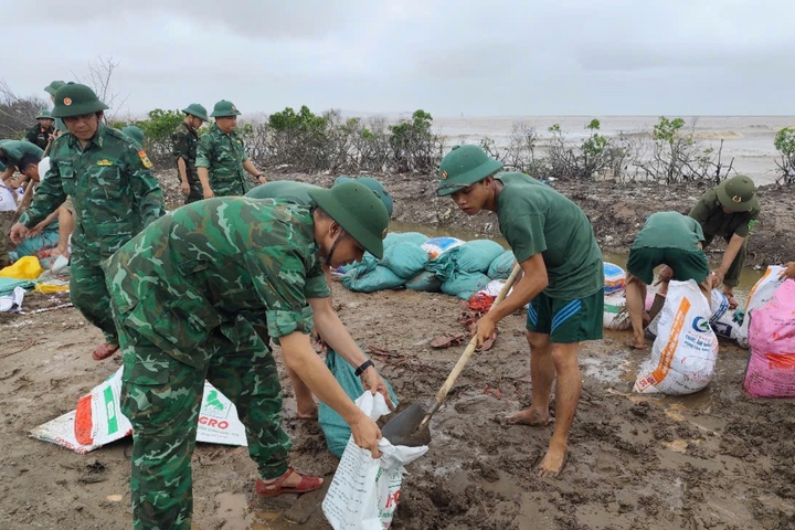 Hải Phòng: Chuẩn bị phòng, chống bão số 3 tốt nên thiệt hại giảm thiểu