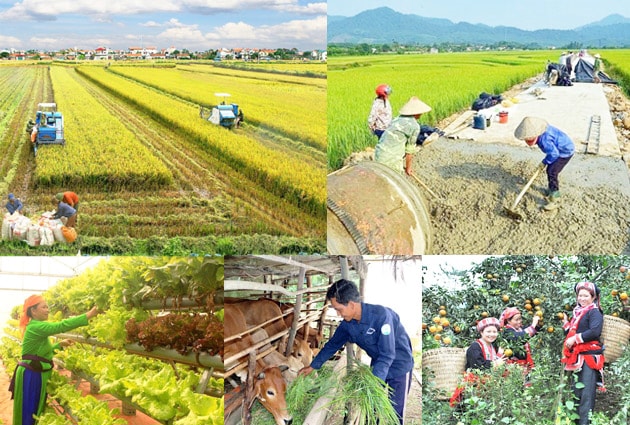 Phấn đấu giải ngân 100% vốn đầu tư công cho các chương trình mục tiêu quốc gia