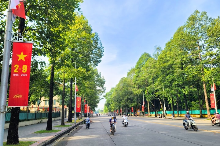 Hà Nội: Dịch chuyển nhiều cây xanh phục vụ thi công đường Hùng Vương, Độc Lập kéo dài