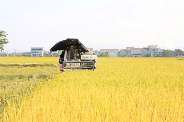 Tin tức đặc biệt trên báo in Hànộimới ngày 30-7-2025