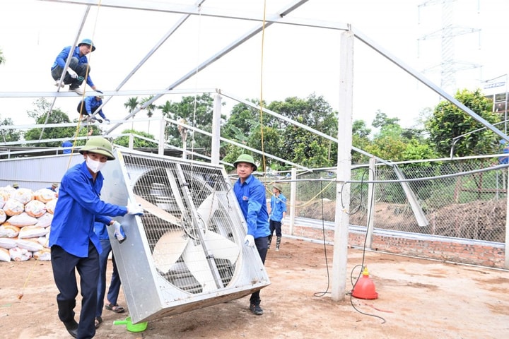 Đường dây 500kV và những dấu chân tình nguyện