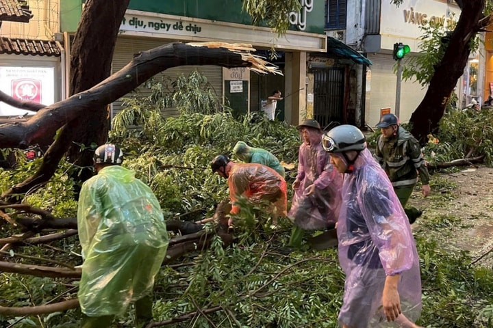 Để “lá phổi xanh” không trở thành hiểm họa