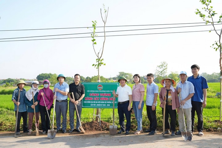 Sơn Tây: Gắn biển công trình “Hàng cây Nông dân”