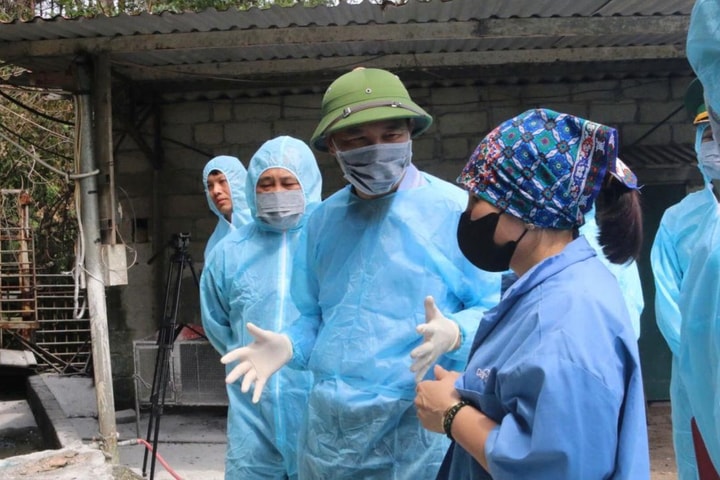 Thành lập 10 đoàn công tác hỗ trợ địa phương trong vận hành chính quyền địa phương hai cấp về lĩnh vực nông nghiệp và môi trường