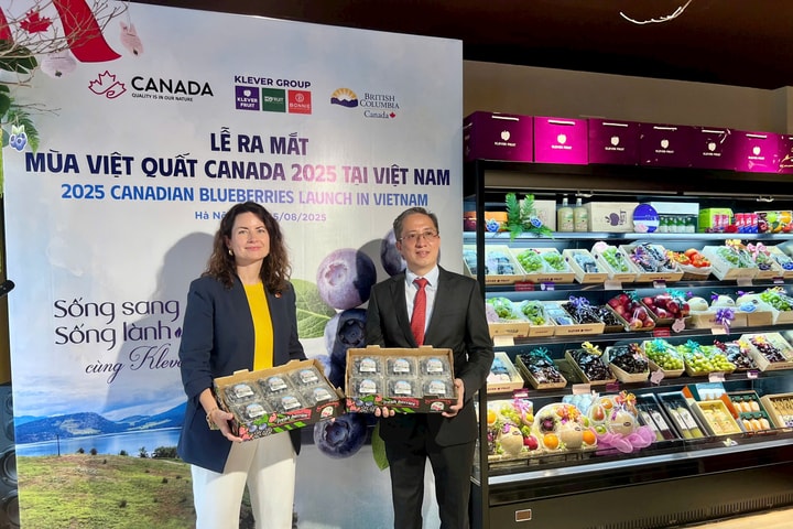Ra mắt "Mùa việt quất Canada 2025" tại Hà Nội