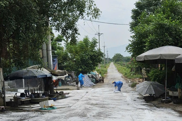 Xã Kiều Phú phòng bệnh dịch tả lợn châu Phi từ xa, chặn từ gốc