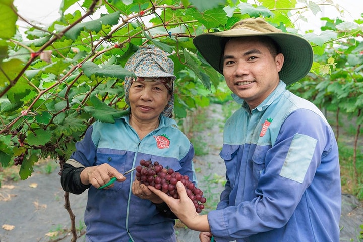 Vĩnh Thanh phát huy lợi thế ven đô, tạo đà bứt phá