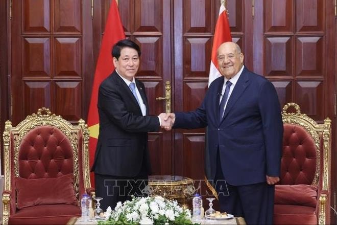 Chủ tịch nước Lương Cường hội kiến Chủ tịch Thượng viện Ai Cập
