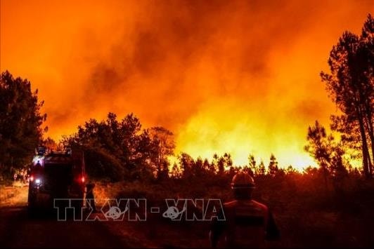 Cháy rừng thiêu rụi hơn 16.000ha ở miền Nam nước Pháp