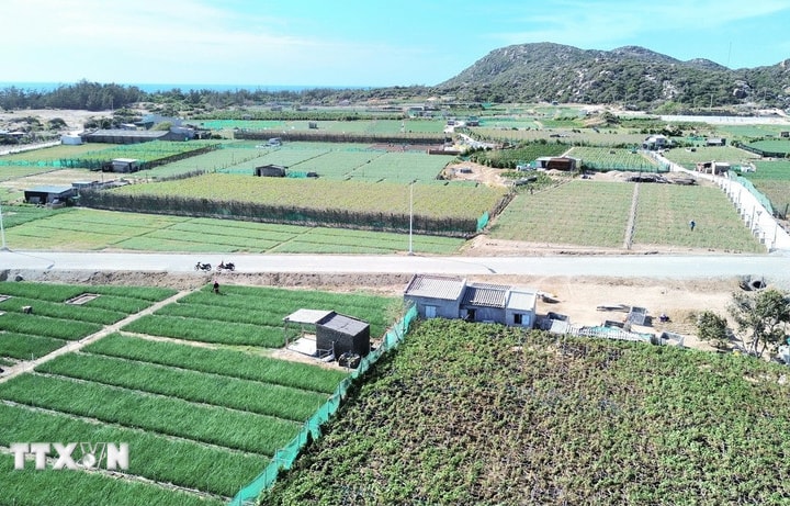 Thủ tướng Phạm Minh Chính làm Trưởng ban Chỉ đạo xây dựng nhà máy điện hạt nhân