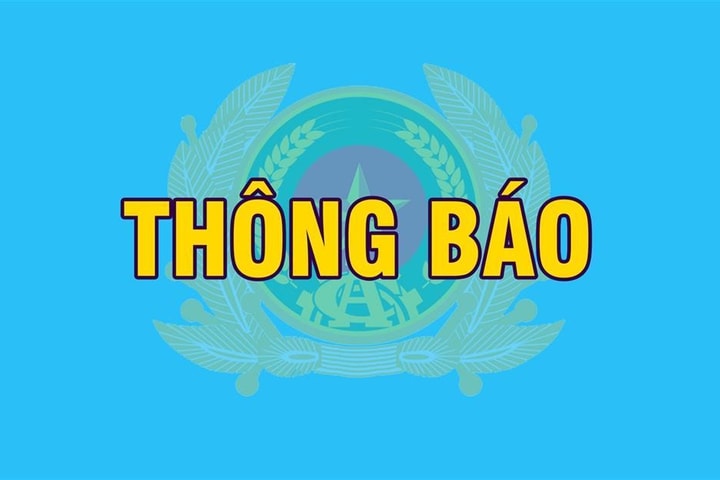 Thông báo đấu giá trực tuyến biển số xe trong các ngày 11 - 12/8/2025