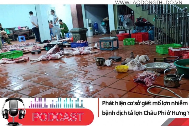 Điểm những tin nổi bật sáng ngày 8/8/2025: Phát hiện cơ sở giết mổ lợn nhiễm bệnh dịch tả lợn Châu Phi ở Hưng Yên
