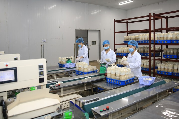 Hà Nội: Chuẩn hóa nghiệp vụ đo lường, chất lượng cho đội ngũ cơ sở